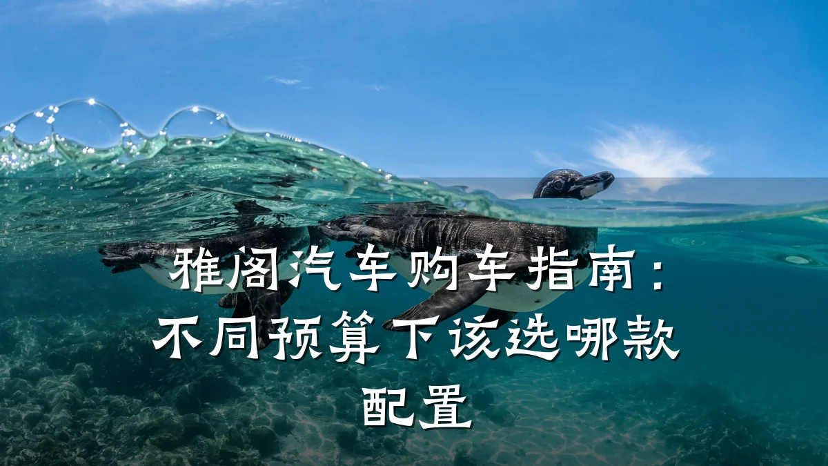 雅阁汽车购车指南：不同预算下该选哪款配置