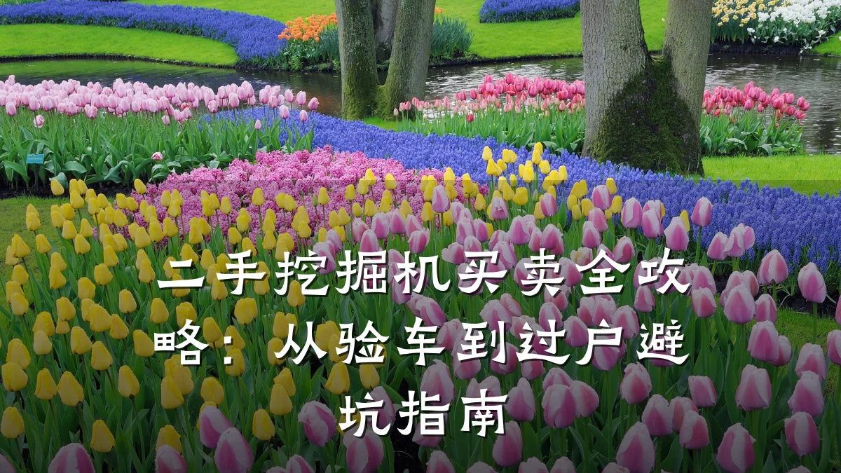 二手挖掘机买卖全攻略：从验车到过户避坑指南