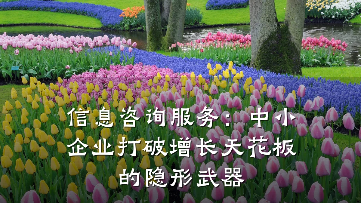 信息咨询服务:中小企业打破增长天花板的隐形武器