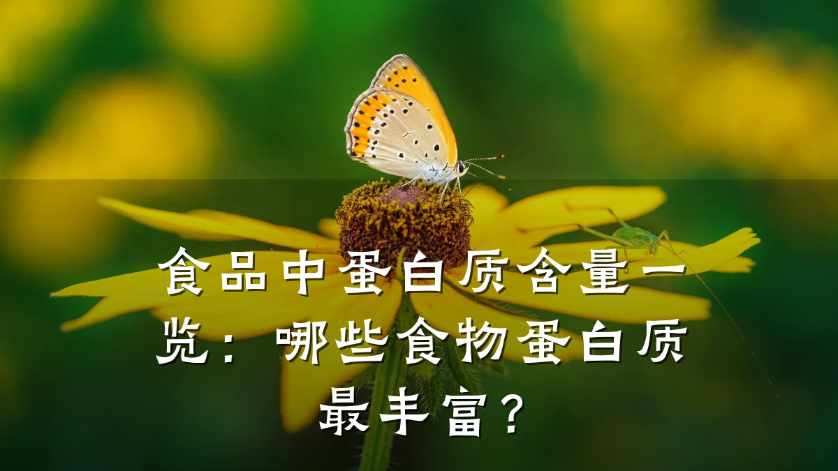 食品中蛋白质含量一览:哪些食物蛋白质最丰富?