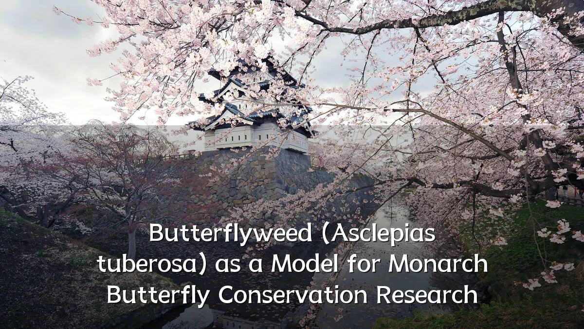 Butterflyweed (Asclepias tuberosa) as a Model for Monarch Butterfly Conservation Research