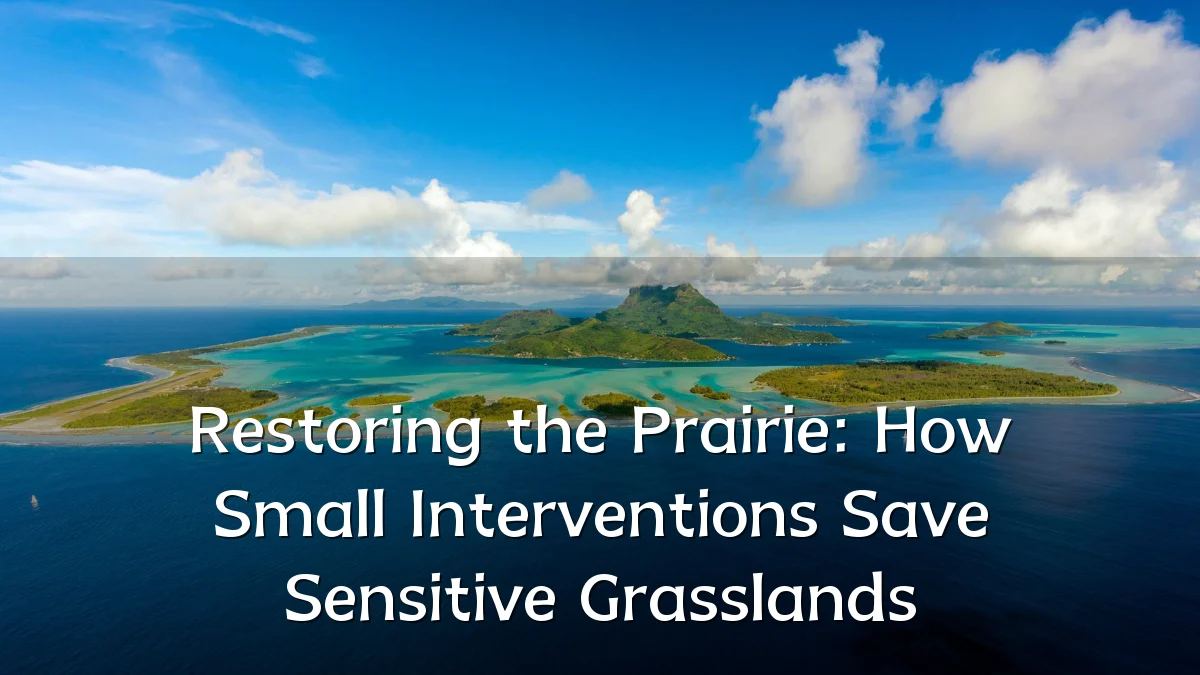 Restoring the Prairie: How Small Interventions Save Sensitive Grasslands