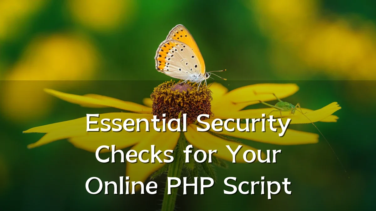 Essential Security Checks for Your Online PHP Script