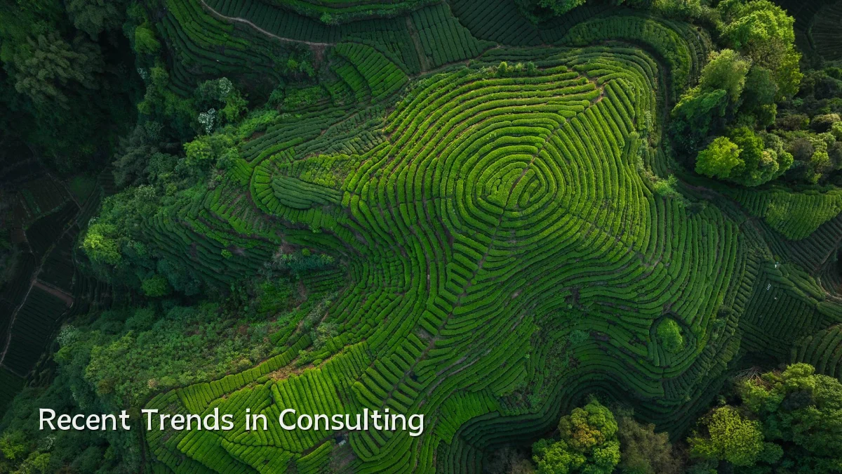 Recent Trends in Consulting