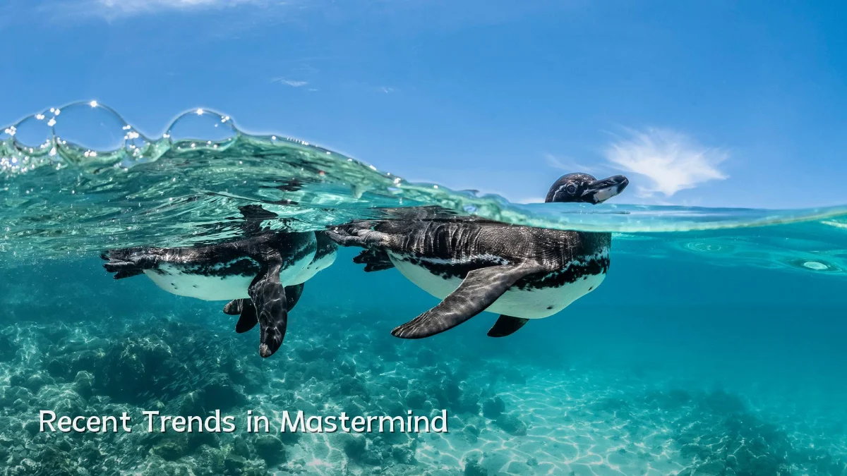 Recent Trends in Mastermind