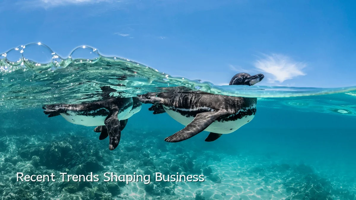 Recent Trends Shaping Business