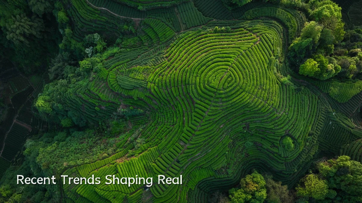 Recent Trends Shaping Real