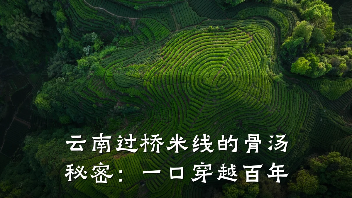 云南过桥米线的骨汤秘密：一口穿越百年