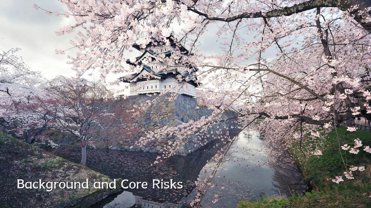 Background and Core Risks