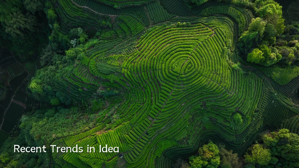 Recent Trends in Idea