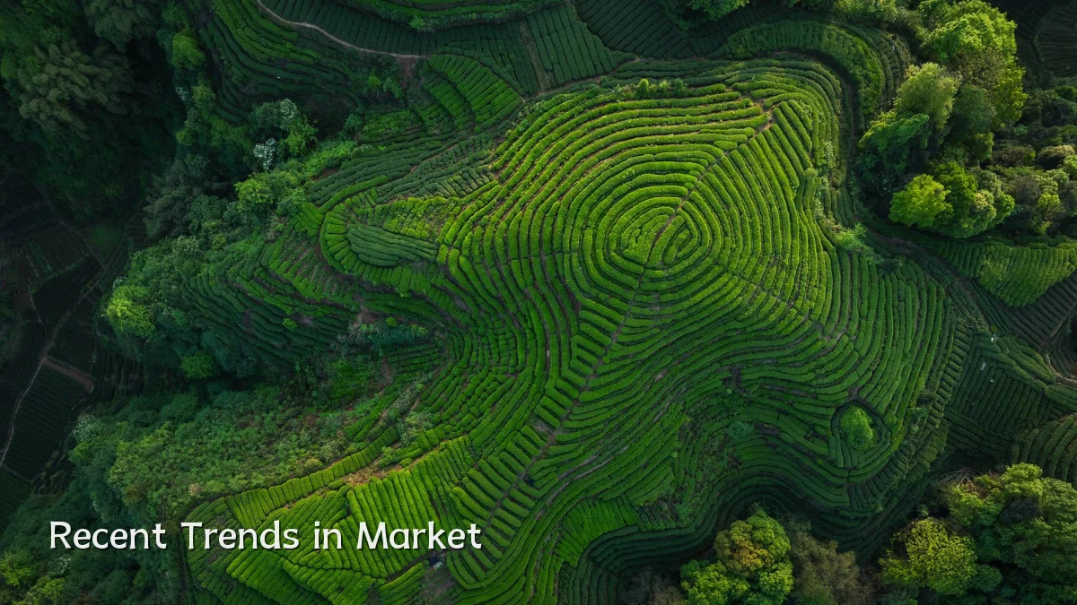 Recent Trends in Market