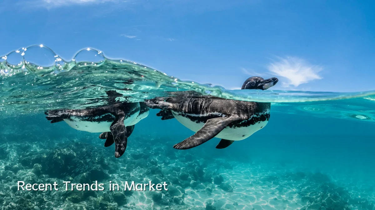 Recent Trends in Market
