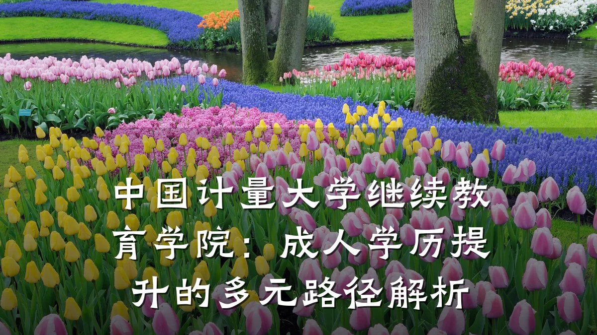 中国计量大学继续教育学院：成人学历提升的多元路径解析