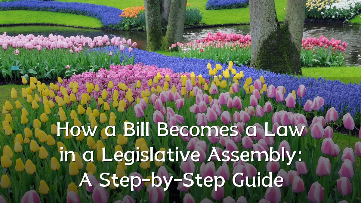 How a Bill Becomes a Law in a Legislative Assembly: A Step-by-Step Guide